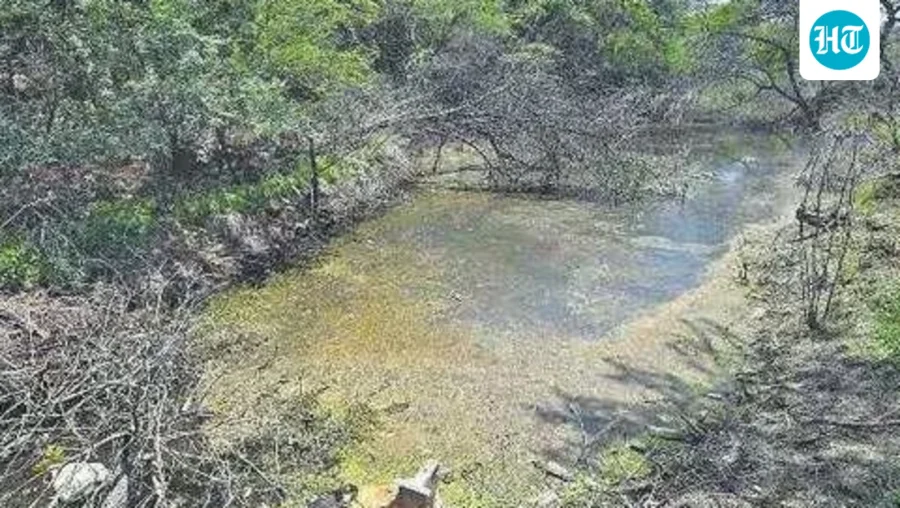 Green tribunal directs Delhi pollution body to verify water quality at Dhaula Kuan lake