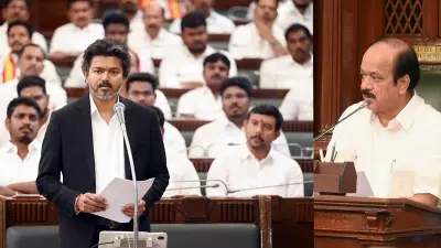 TN CM Vijay rebuts ‘inexperienced’ tag; says ‘we protect, we serve…we don’t loot’