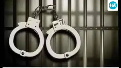Goa Mercedes crash: Driver held after biker killed, pillion injured