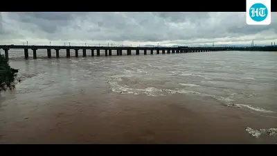 Andhra family jumps off bridge into Godavari, woman rescued, 3 missing: Police