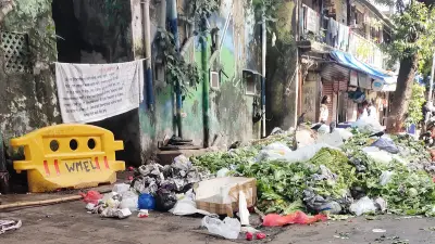‘Whole city is full of filth’: Bombay HC tears into BMC over garbage
