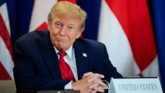 Trump's AI rebrand causes 'unprecedented' demand for Slovenian website names
