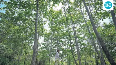Delhi govt approves reserved forest status for 277 acres of Northern Ridge